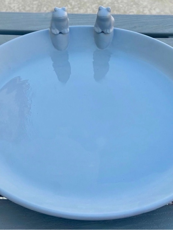 Aldi Other - Hand-painted Light Blue ALDI Belavi Ceramic Bird Drinking Trough